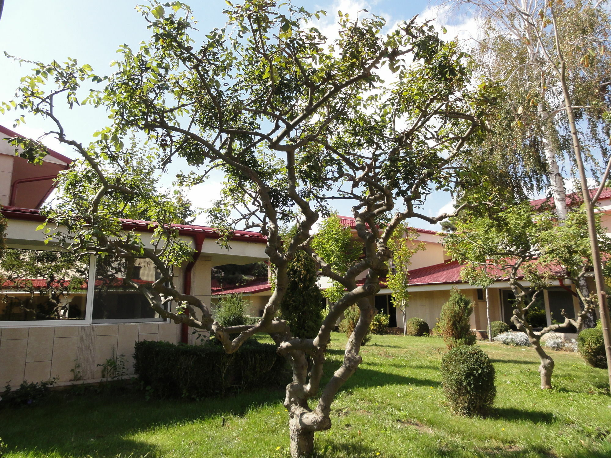 Vox Maris Grand Resort (Adults Only) Costinesti Eksteriør billede